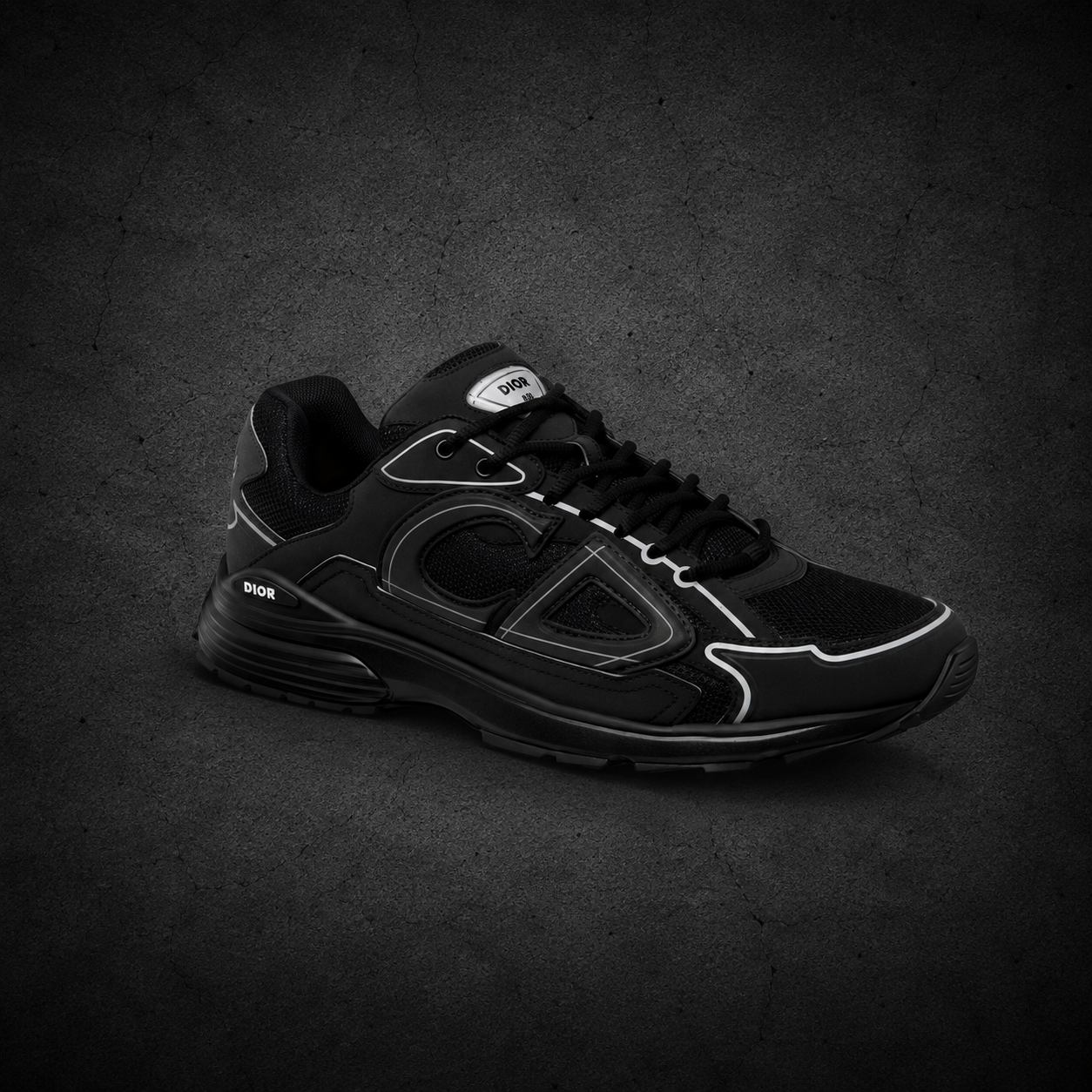 Dior B30 en negro Monocromático