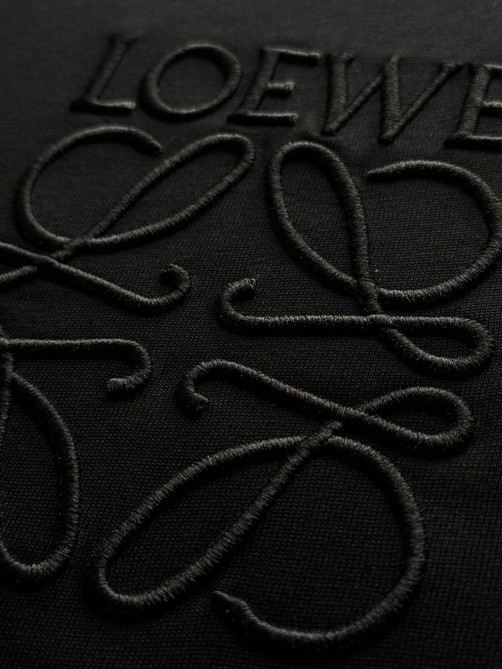 PLAYERA LOEWE