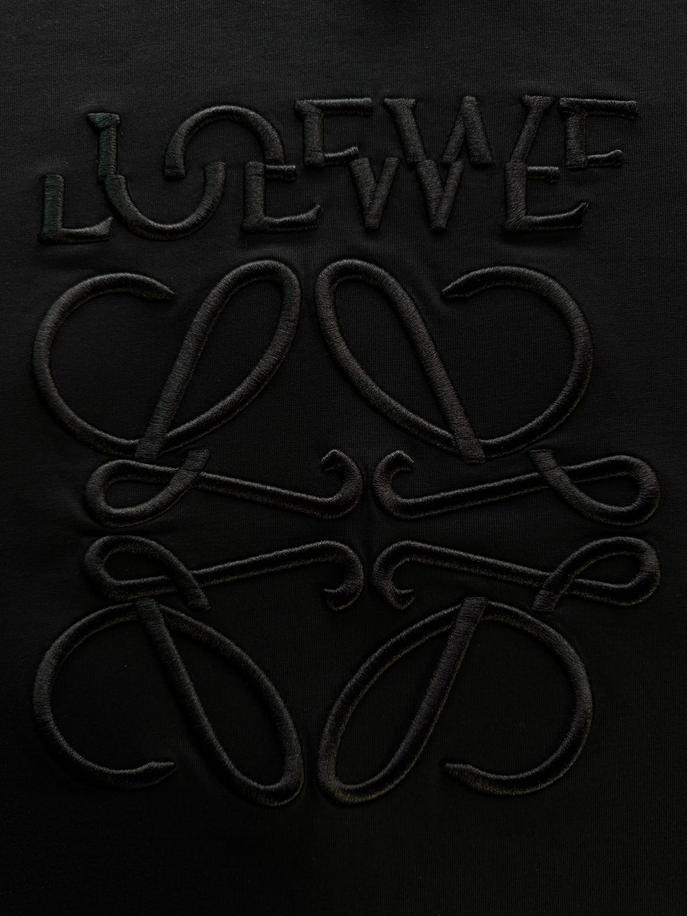 PLAYERA LOEWE